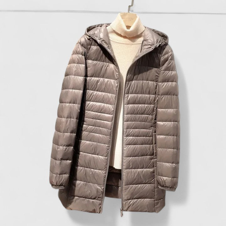 Averlyss | Sophisticated Jacket